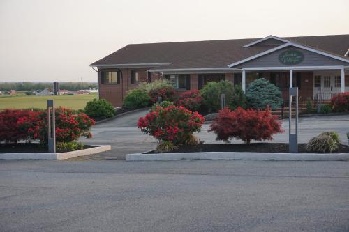 Harvest Drive Family Inn - Renovated Rooms - 전망
