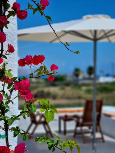  All Season Lovely Seafront Cottage in Kissamos