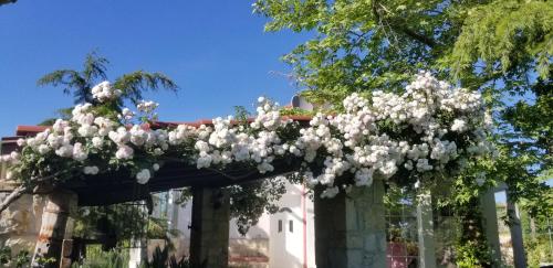 花園, Country House Bubullime Albania (Villa - Cottage) in 科洛涅