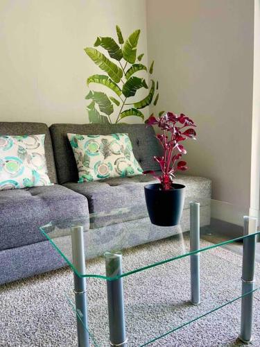 Cozy & Modern - Near the Airport in San Jose