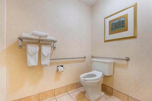 Best Western Plus Placerville Inn - image 8