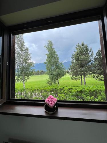The Nature View Suite, part of Terra Complex & Spa
