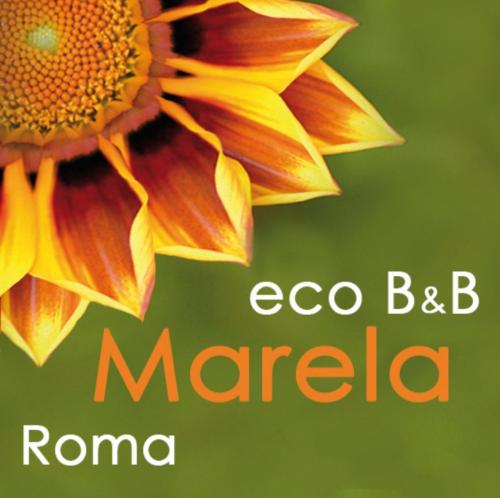 Eco B&B Marela - image 5