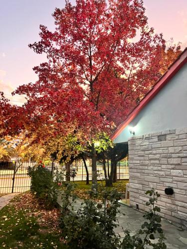 Tupungato Village in Tupungato