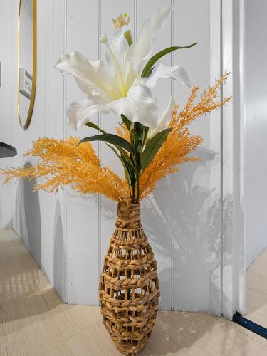 Facilities, Azzurro Pod Hotel Central Sydney near Moore Park