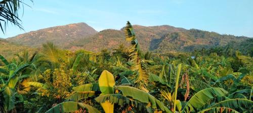 Lingkungan sekitar, ERN Travellers Inn House in Mindoro in Bulalacao