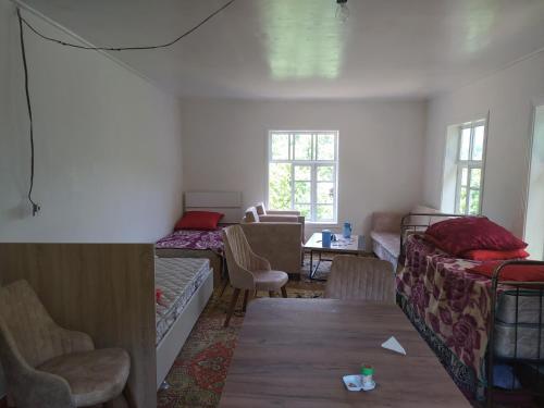 Ruzigar Guesthouse in Lankaran