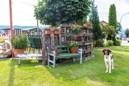 Kert, Monis Ferienwohnung in Tannesberg