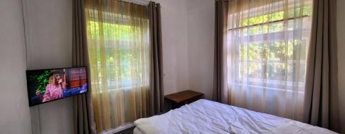 Palangos Kopa - image 2