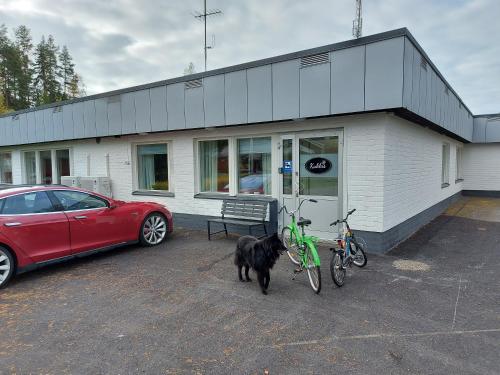 入口, Tuurin Kukkis in 托伊薩