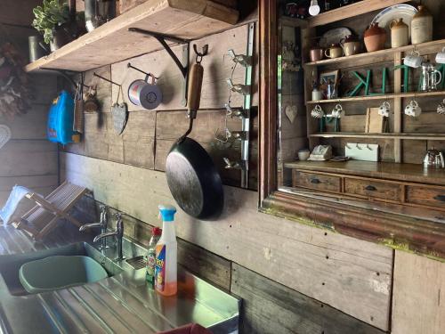 Pet Friendly - 2 Guests - Shepherds Hut in Longhope