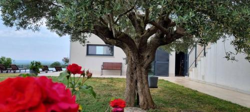 Villa Anna