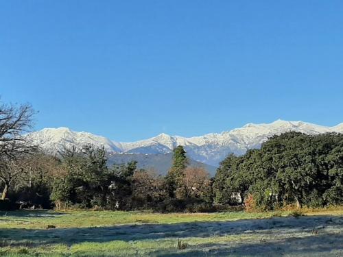 Bel appartement Corse pour 6 pers max, proche mer et montagne - Location saisonnière - Prunelli-di-Fiumorbo