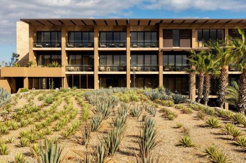 Casa Maat at JW Marriott Los Cabos Beach Resort & Spa in San José del Cabo, Mexico