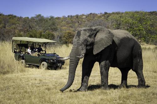 Tshwene Lodge