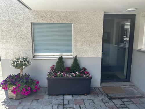 Haus Floralp, Zermatt (photo 6)