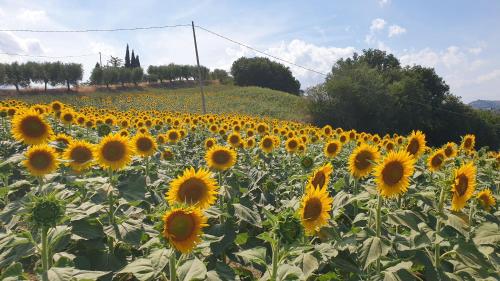 Casale di Maro