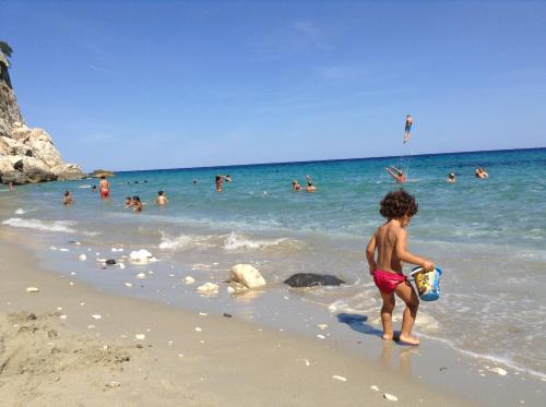 卢斯中提琴住宿加早餐旅馆