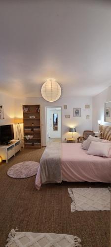 EMA Cottage gîte à louer Montjean