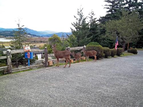 Motel 6 Gold Beach, OR in Gold Beach (OR)