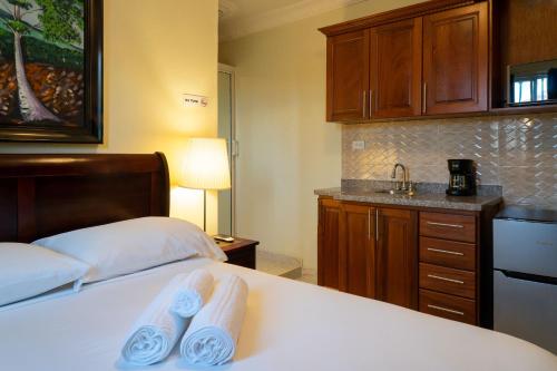 Villa Gumio Studio Apt - 7 minutes walk to Boca Chica Beach apts