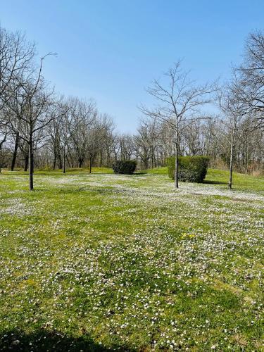 Lac Mondésir the little house and its Bastide