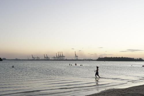 Villa Gumio Studio Apt - 7 minutes walk to Boca Chica Beach apts