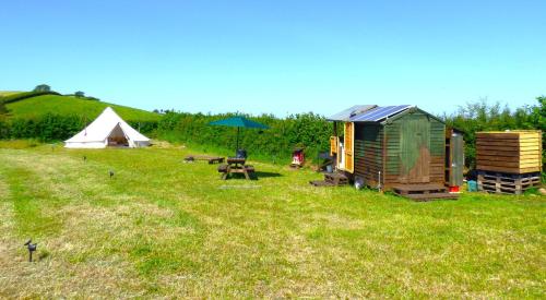 Ffos Wilkin Glamping & Alpacas