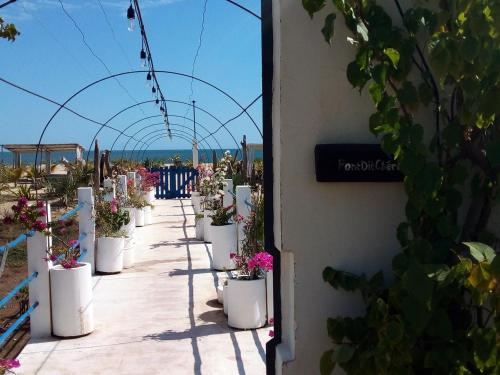 沙灘, Cytyz Appart Hôtel (Cytyz Appart Hotel) in 馬任加