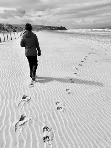 Creative Art Cabin, Causeway Coast, beach 10 mins