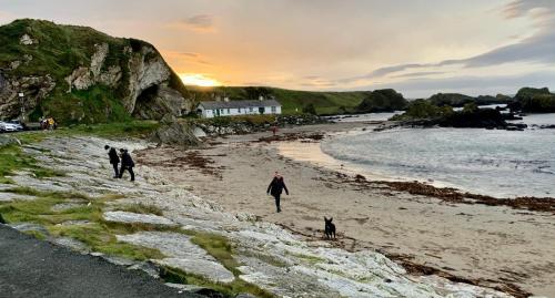 Creative Art Cabin, Causeway Coast, beach 10 mins