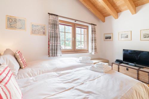 Chalet Ulysse - image 11