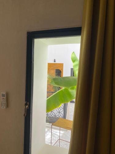 Riad Olika - image 4