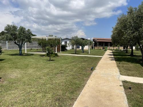 Verter Home Resort 5