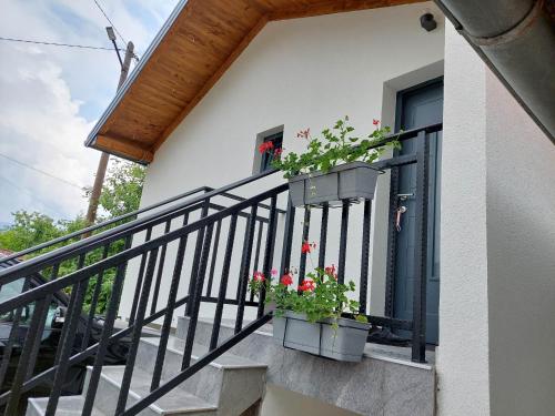 Apartmani Višegradski pogled