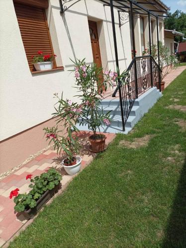 Kiskastély Apartman (Kiskastely Apartman) in บัลมาซูญวาโรส