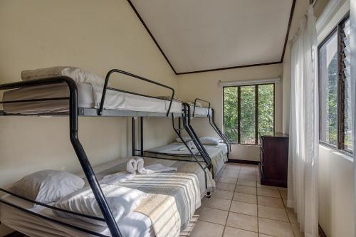 Hotel Mar de Luz - image 5