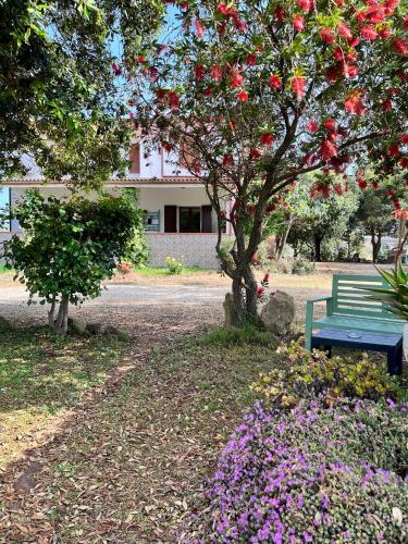 Agriturismo Graziano e Barbara - image 2