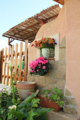 B&B La Pintadera 5