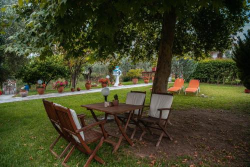 Garden, Viki Studios in Pefki (Artemisio)