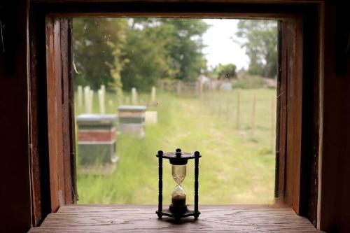 The Falgate Shepherd's Hut in Caston
