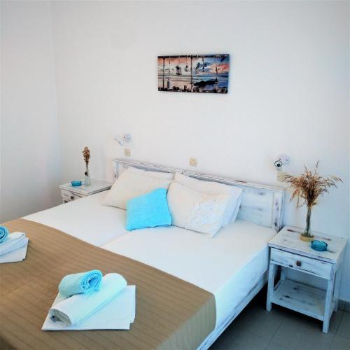 Dolphin Rooms 2
