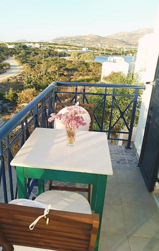Dolphin Rooms 2