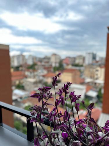 ERG APARTMENTS, Tirana (photo 8)