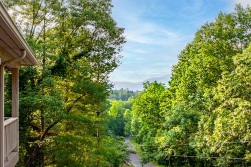 View, Hiker's Chalet in the Smokies near Cades Cove