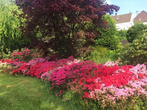 Oase der Ruhe Oase der Ruhe