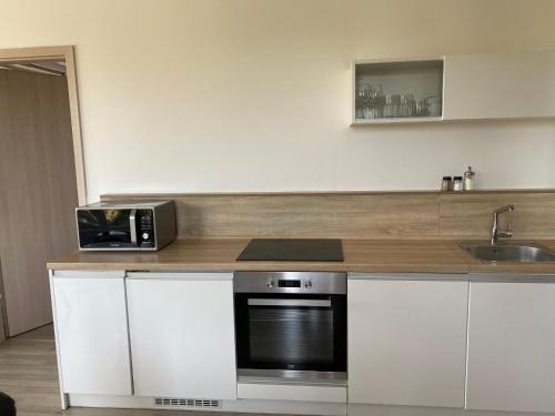 virtuve, Apartmán v LakeParku (Apartman v LakeParku) in Doksy