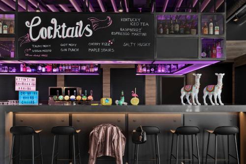 Moxy Bergen - image 2