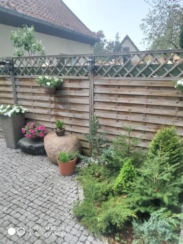 Konik Bar i Pokoje Gościnne (Konik Bar i Pokoje Goscinne) in Кадини