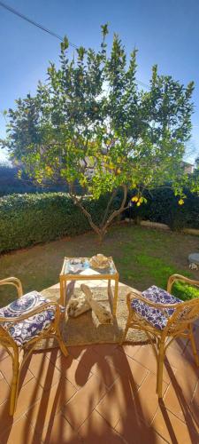  Borgo Maremma comfort e relax in Carigie Alta